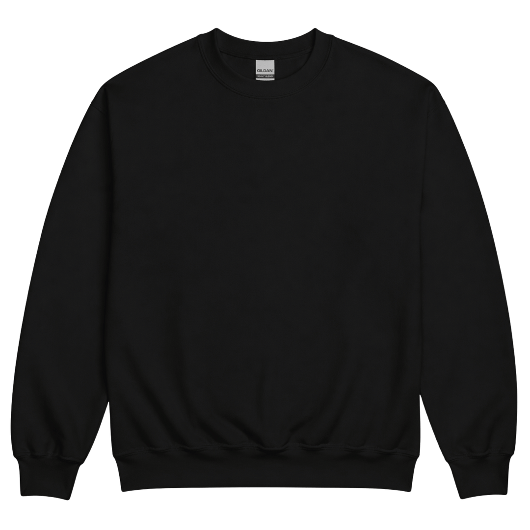 Custom Full-Color DTF Unisex Crewneck Sweatshirt | Upload Design or Photo